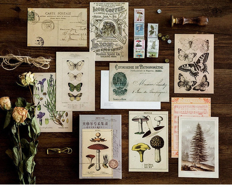 Lucky dip Postcard