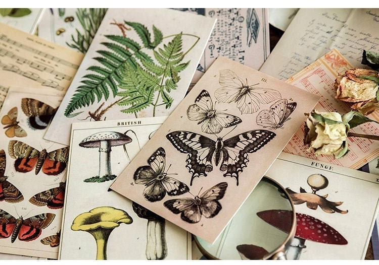 Lucky dip Postcard