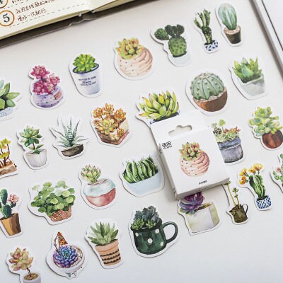 Succulent stickers pack - 50pcs