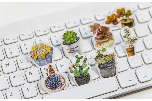 Succulent stickers pack - 50pcs