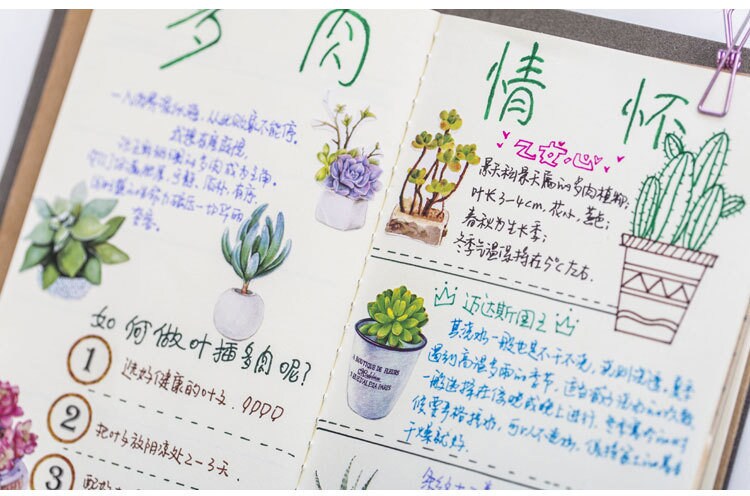 Succulent stickers pack - 50pcs