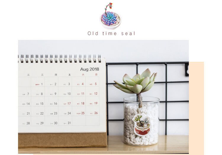 Succulent stickers pack - 50pcs