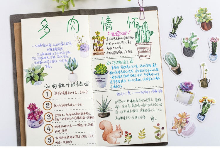 Succulent stickers pack - 50pcs