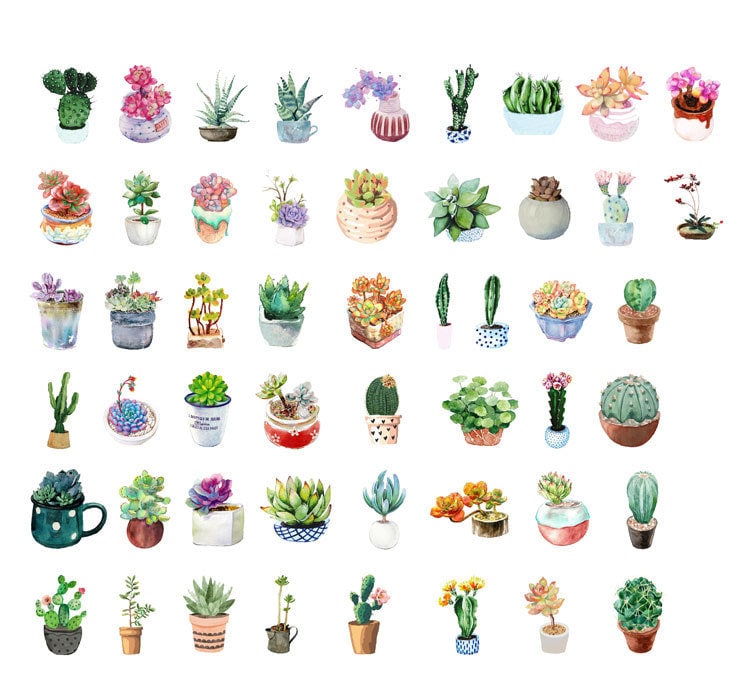 Succulent stickers pack - 50pcs