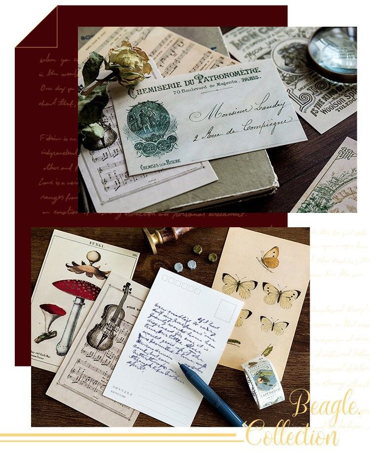 Lucky dip Postcard
