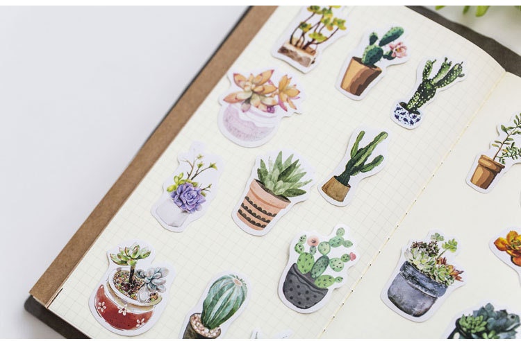 Succulent stickers pack - 50pcs