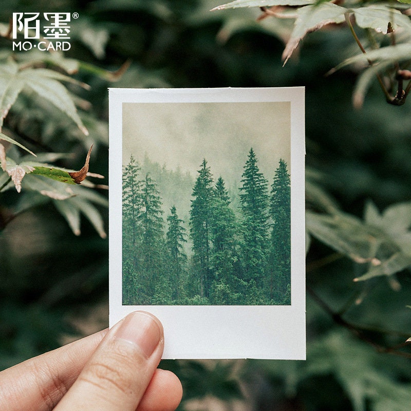 Scenery Stickers