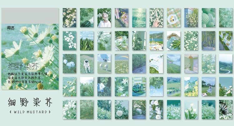 Decorative Sticker Books