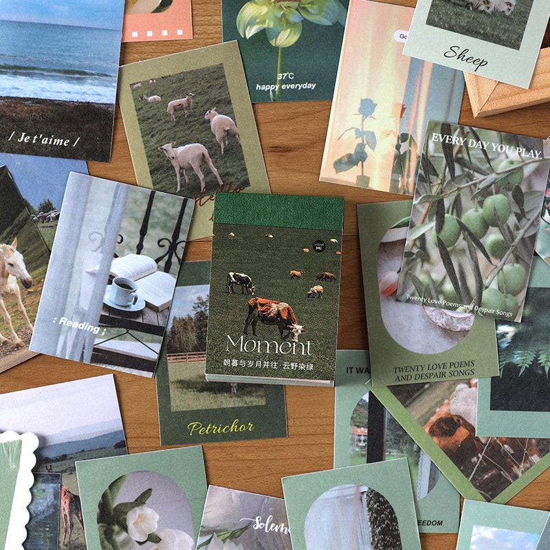 Decorative sticker books