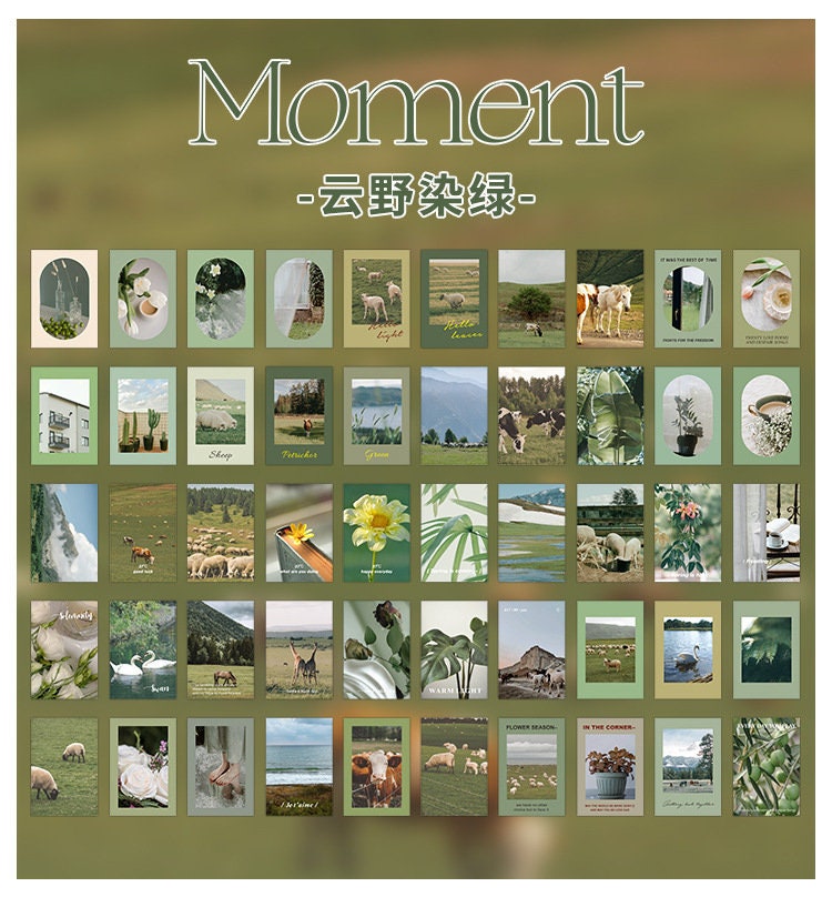 Decorative sticker books