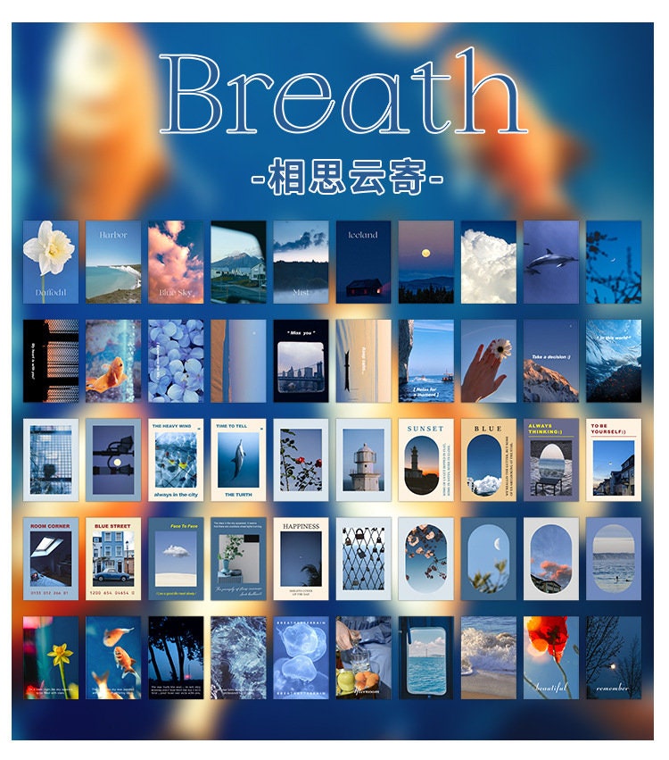 Decorative sticker books