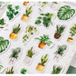 Potted Plants stickers